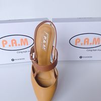 SD 5P Mũi Nhọn Đế Tròn