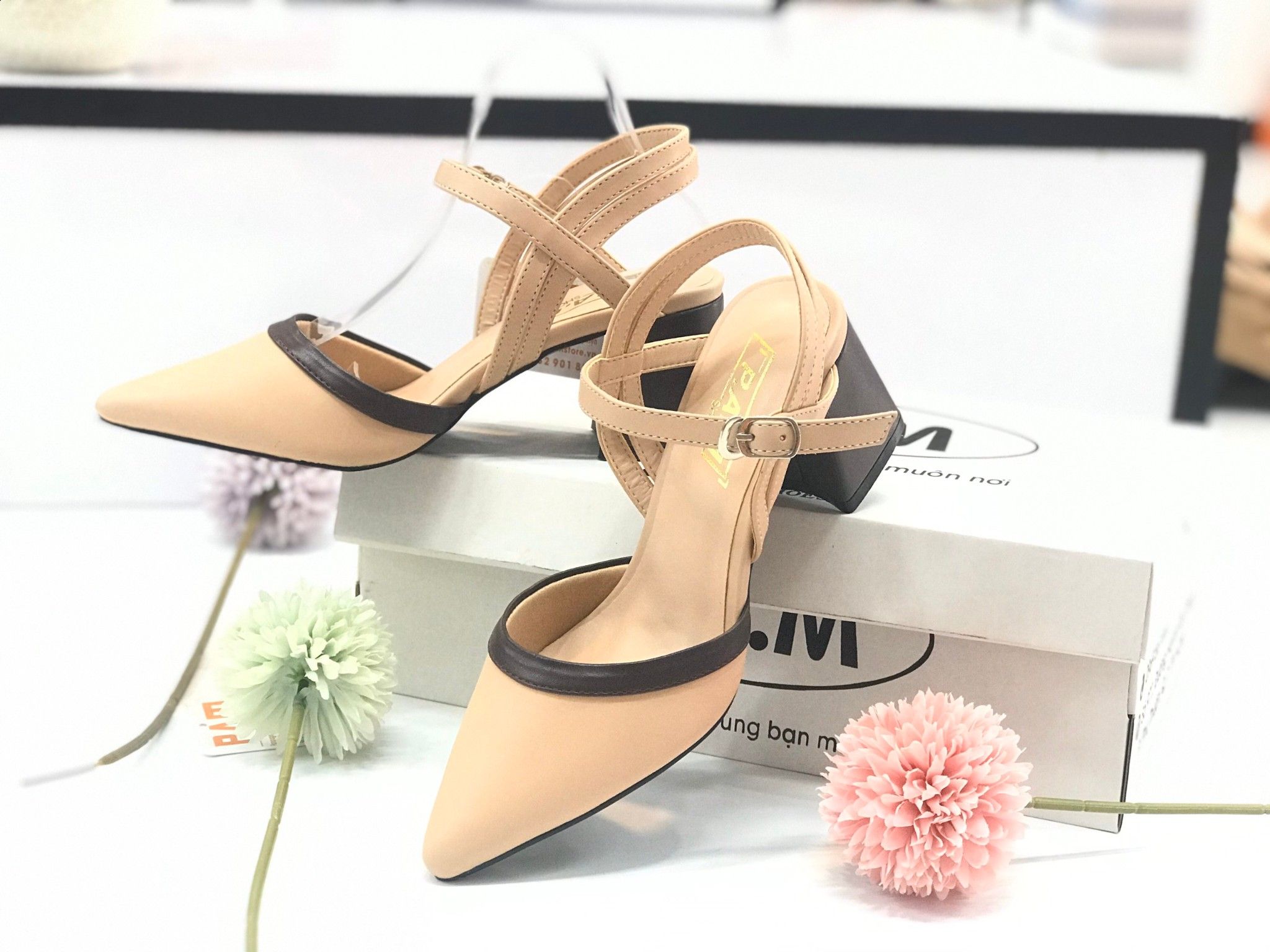 SD 5P Mũi Nhọn Viền Nâu