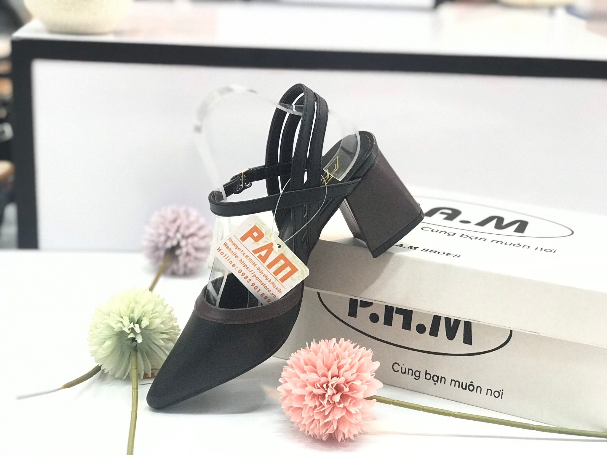 SD 5P Mũi Nhọn Viền Nâu