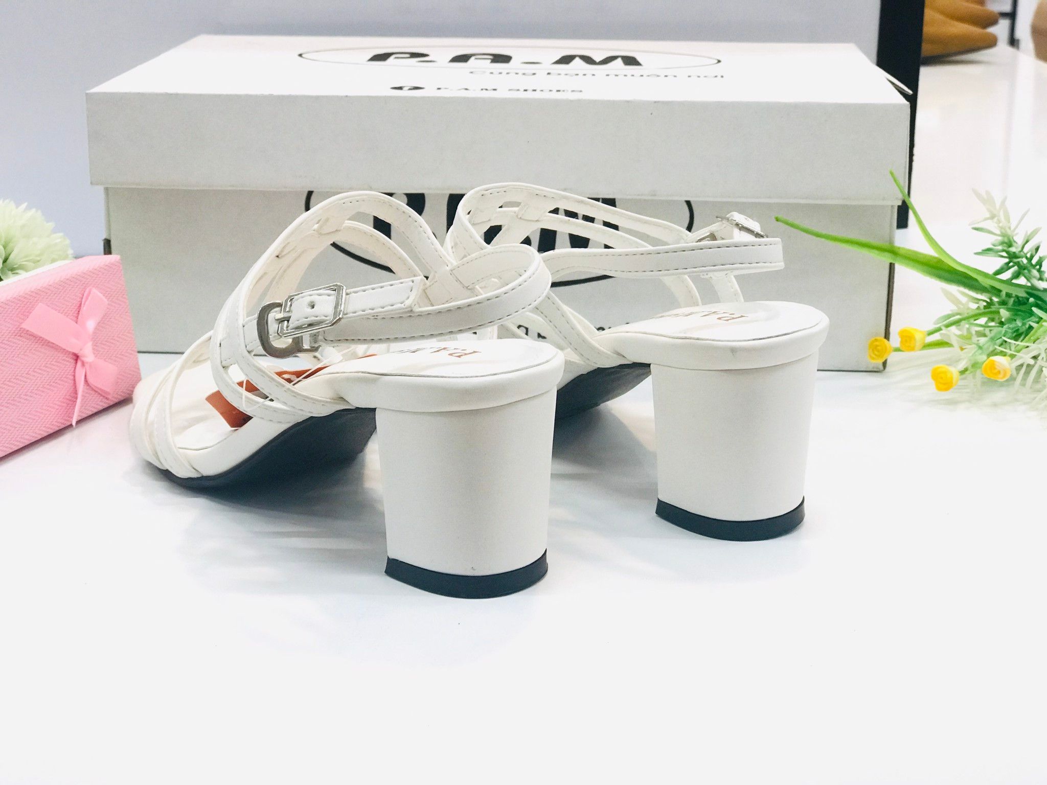 SD 5P Quai Ngang Dọc