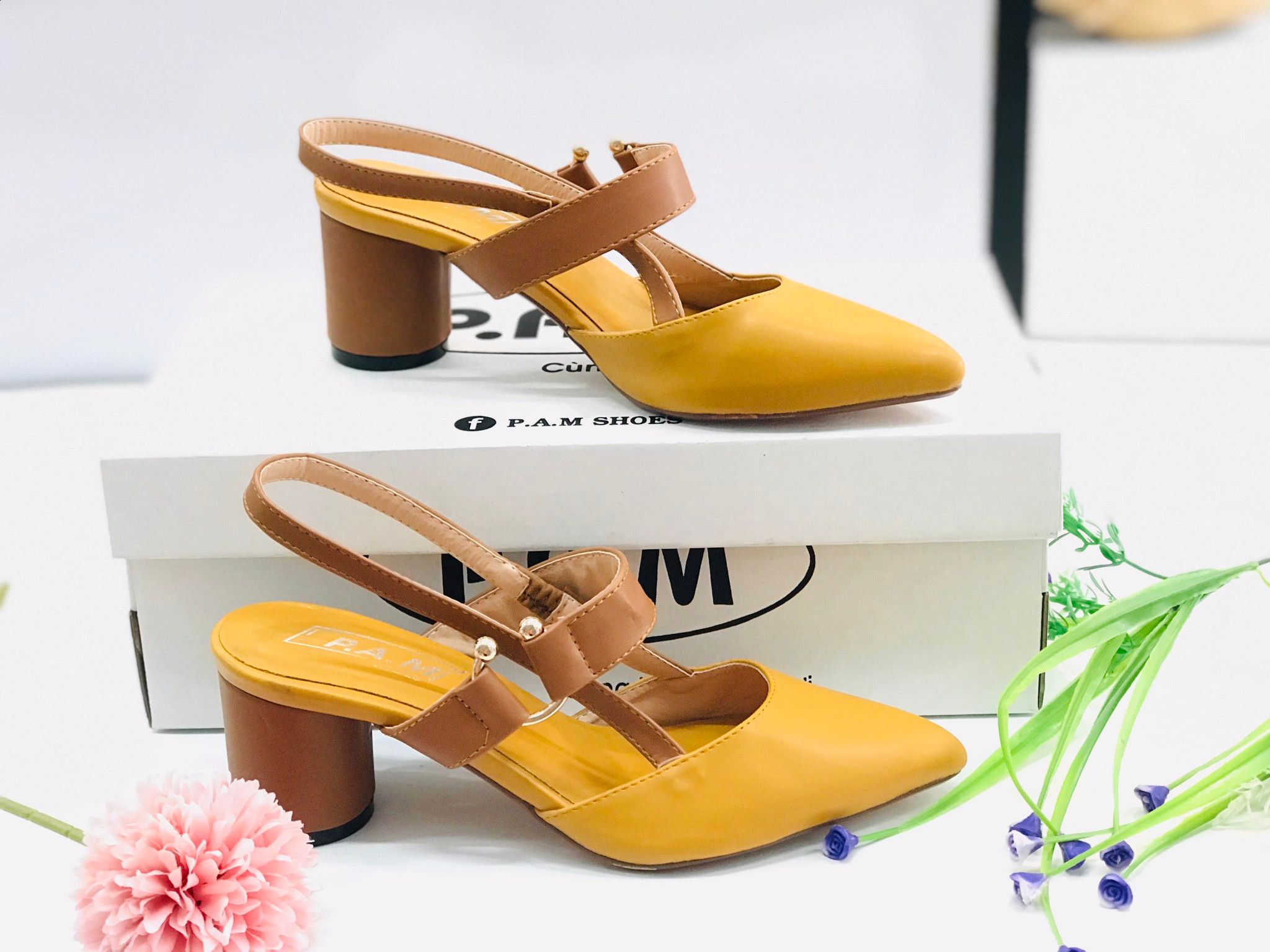 SD 5P Mũi Nhọn Đế Tròn
