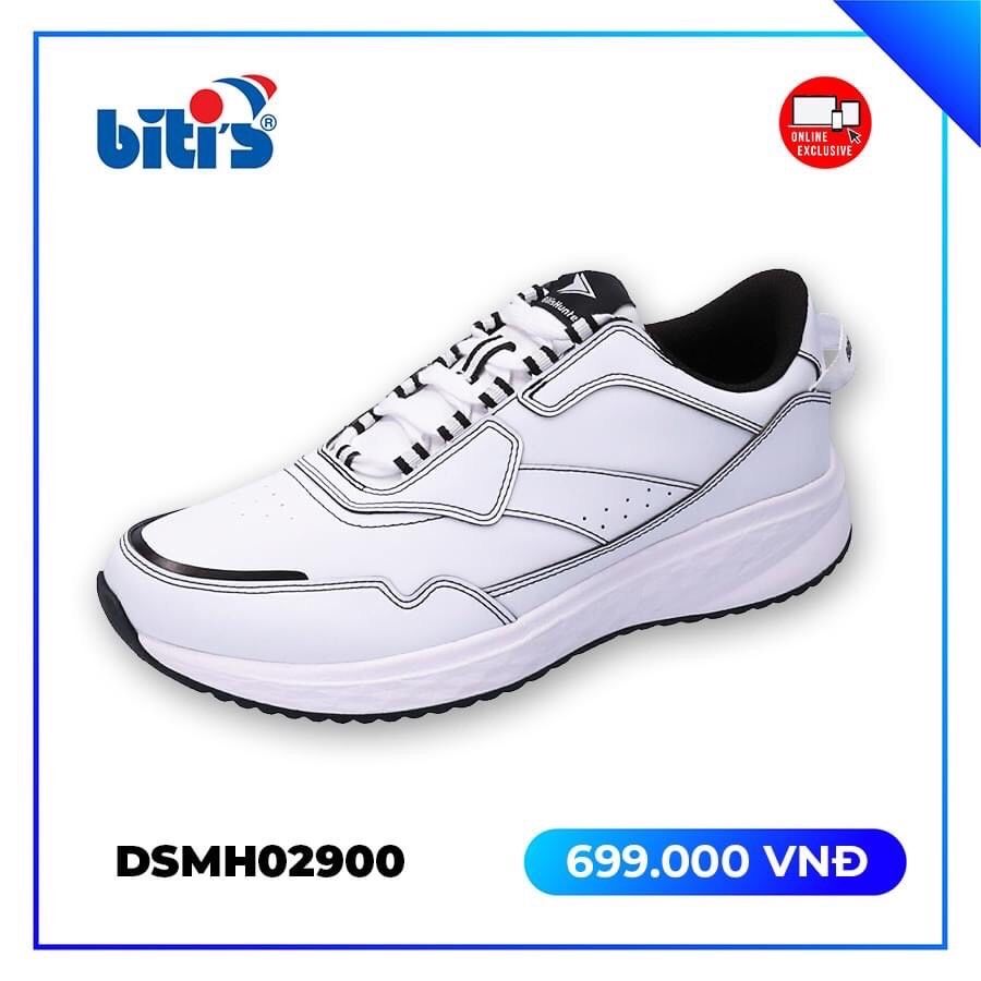 DSWH02900