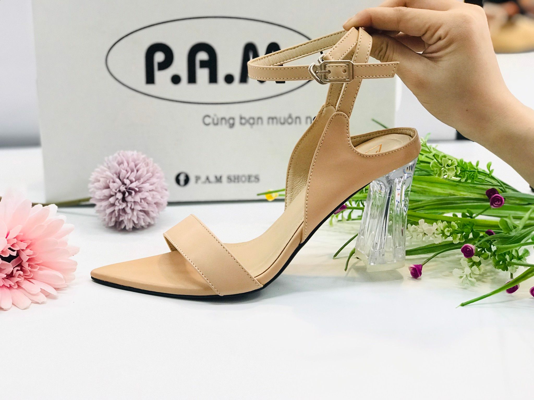 SD 8p Gót Trong Mũi Nhọn
