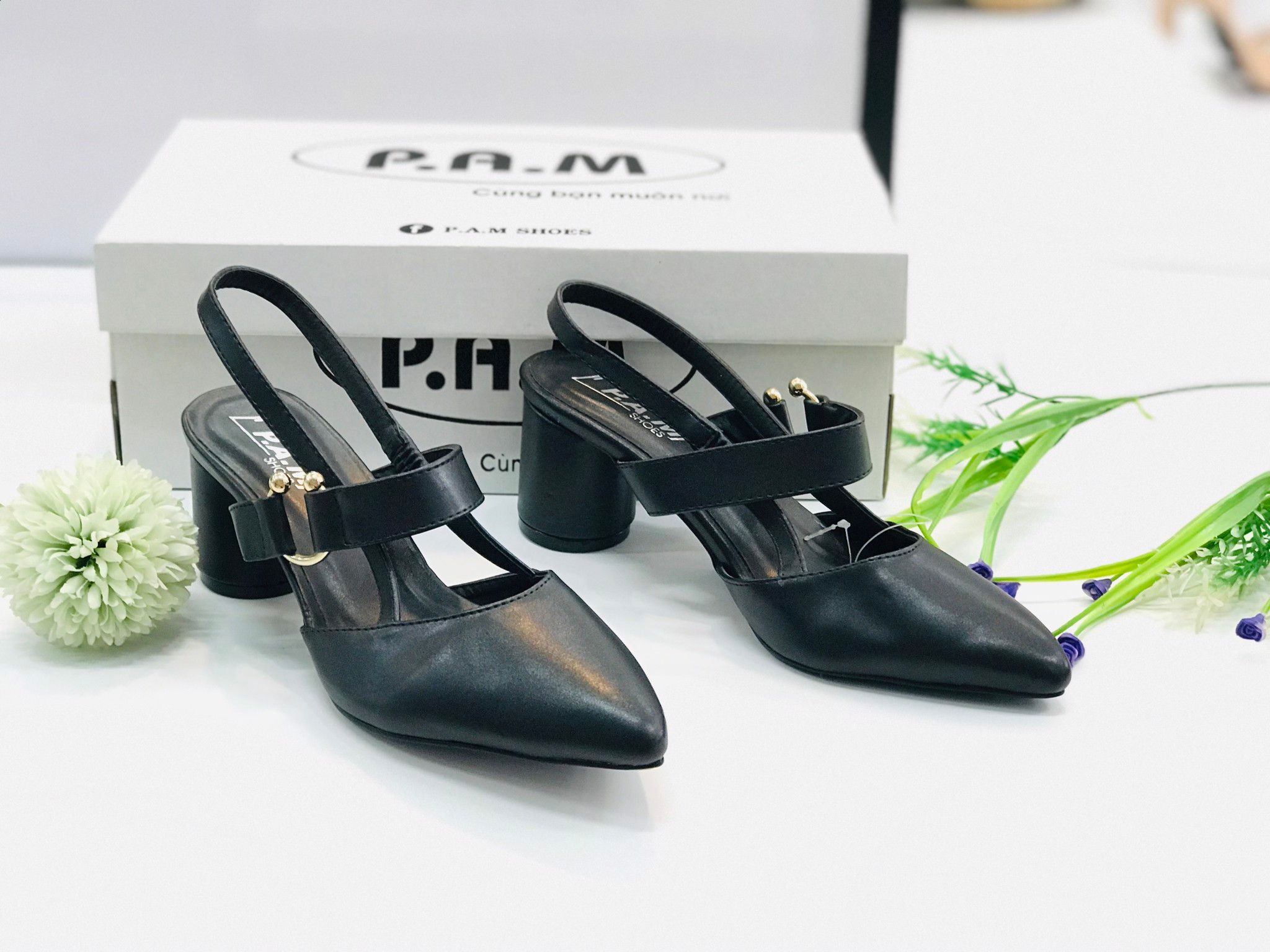 SD 5P Mũi Nhọn Đế Tròn