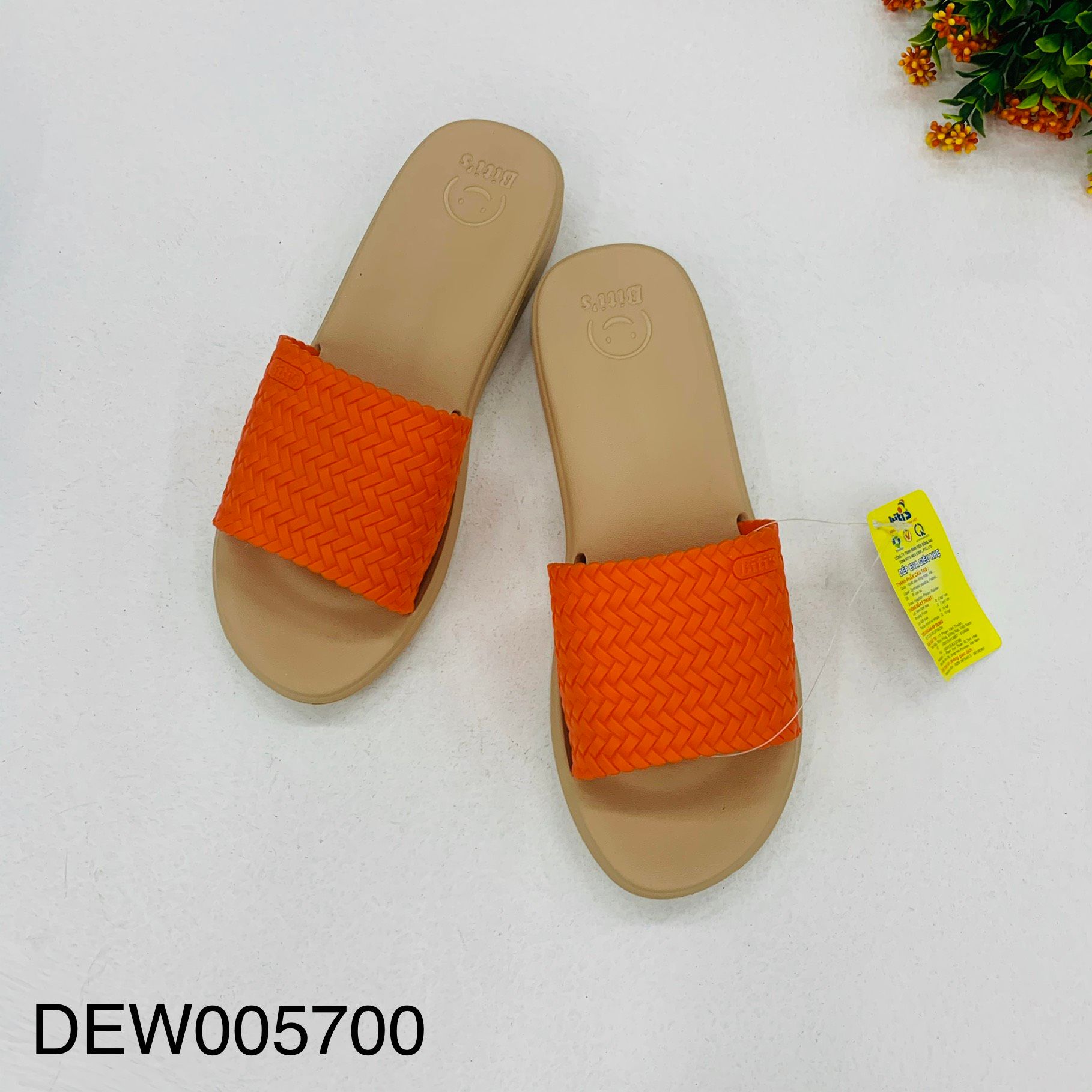 DEW005700