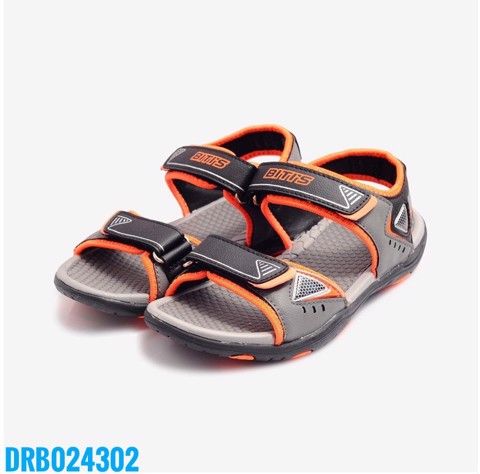 DRB024302