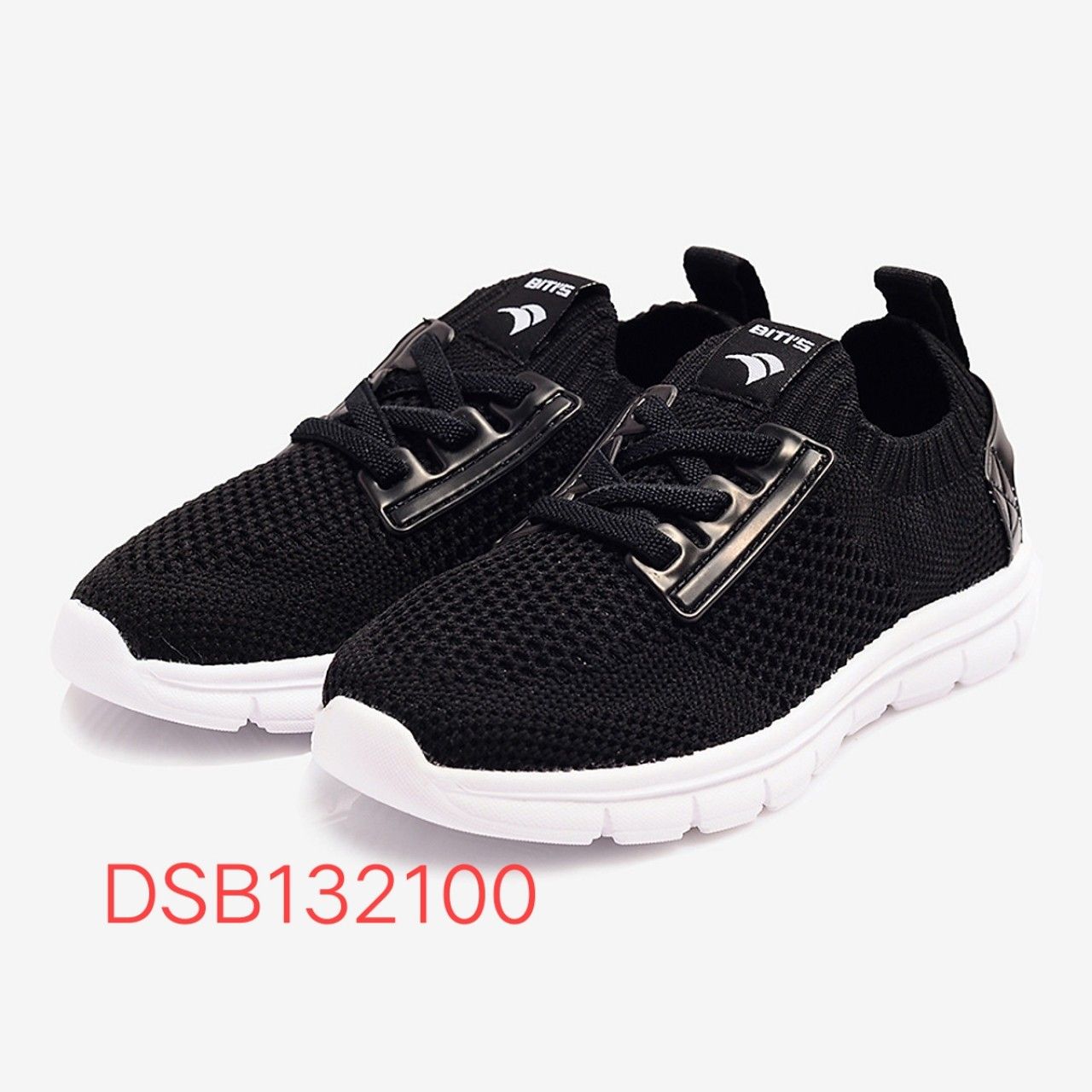 DSB132100