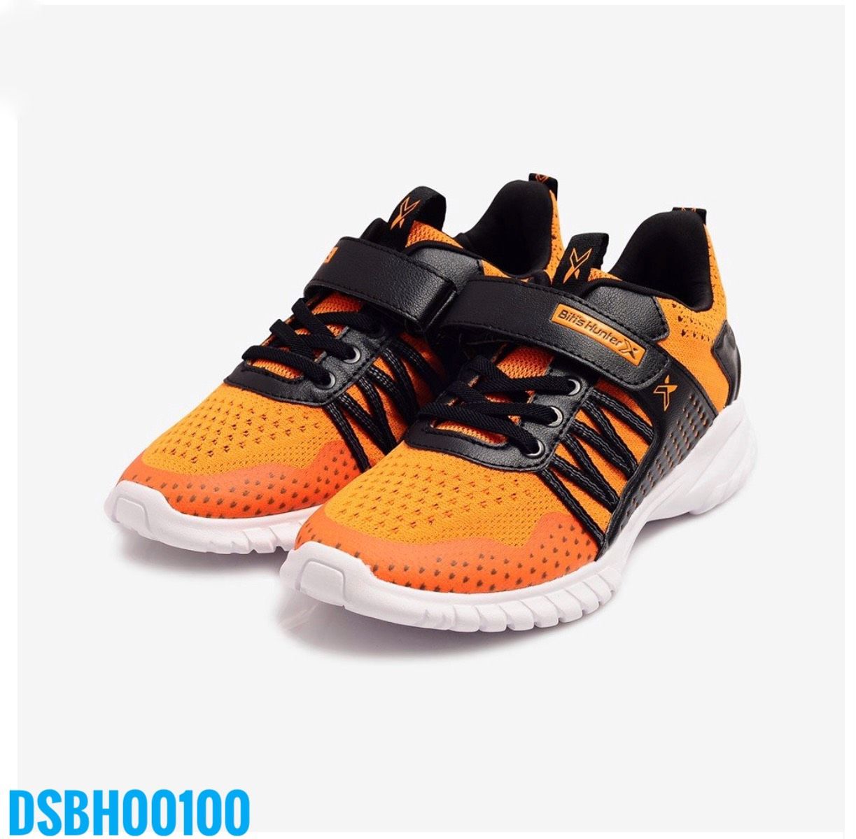 DSBH00100