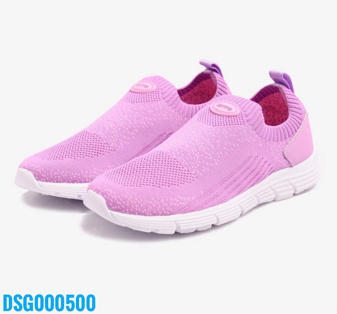DSG000500