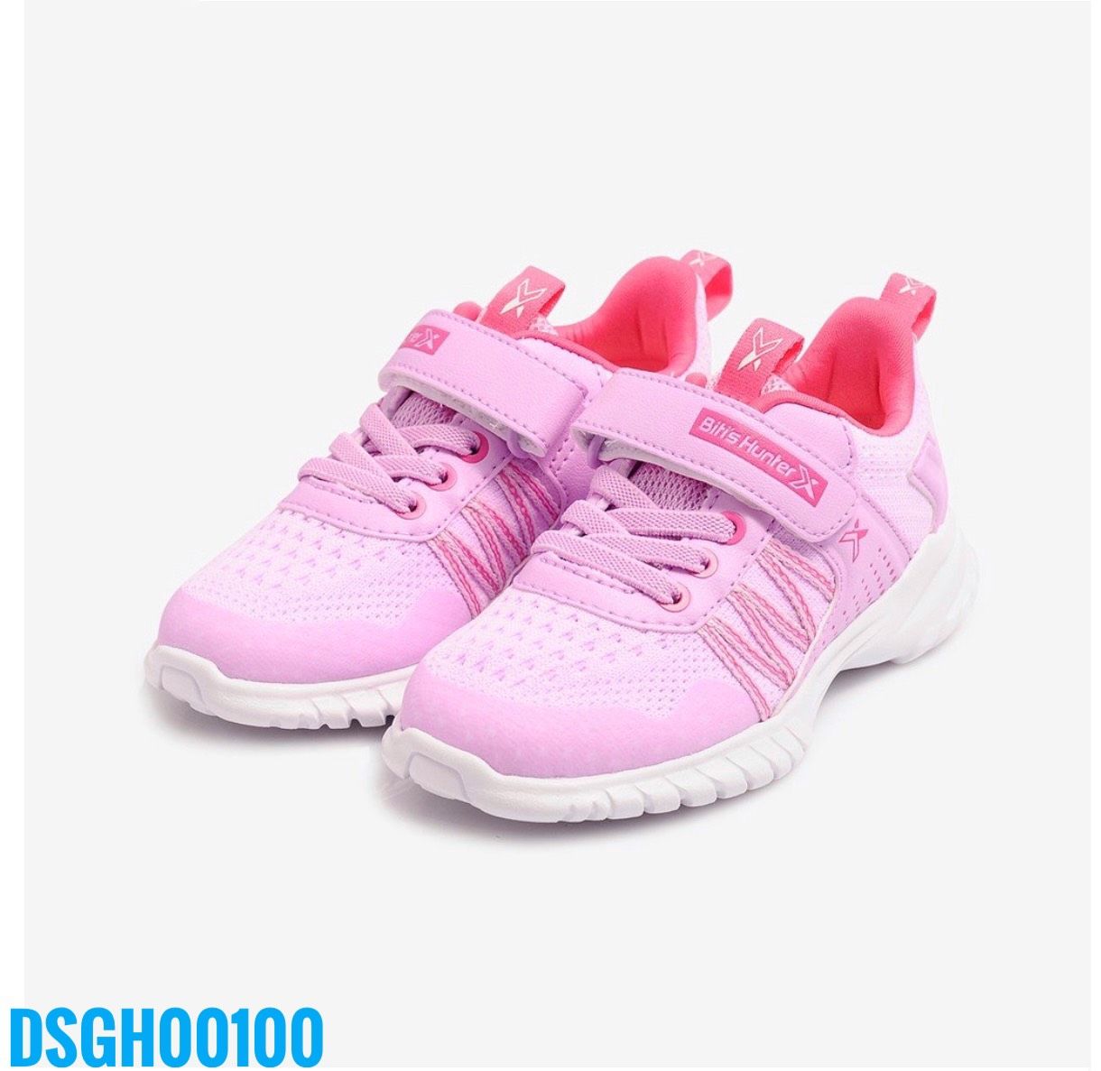 DSGH00100