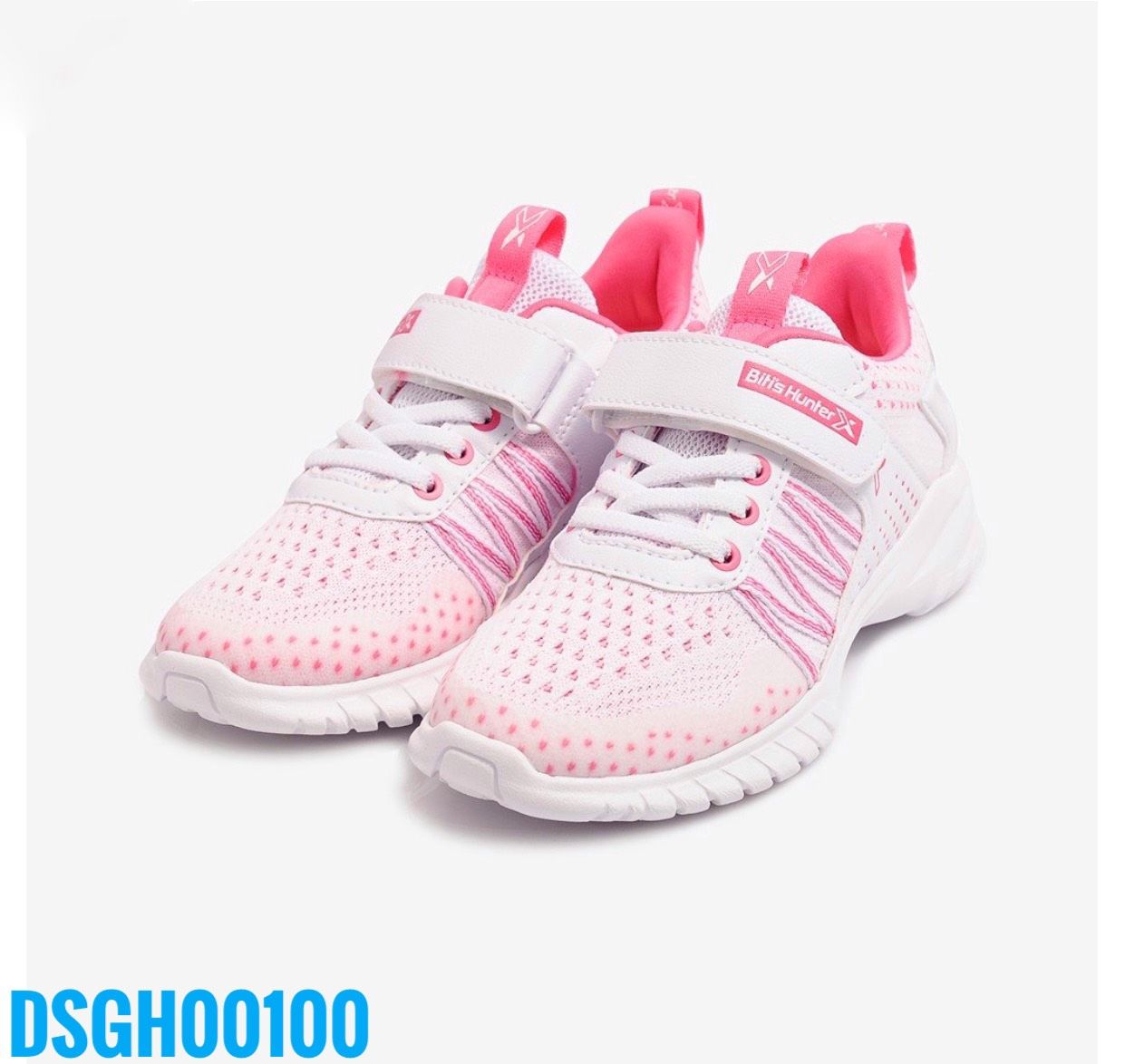 DSGH00100