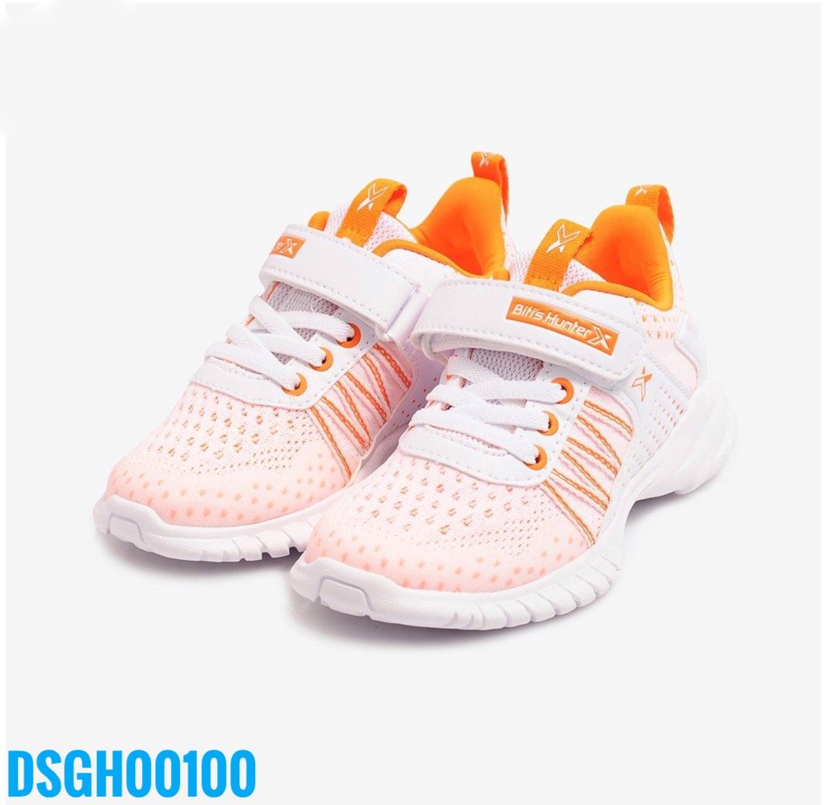DSGH00100