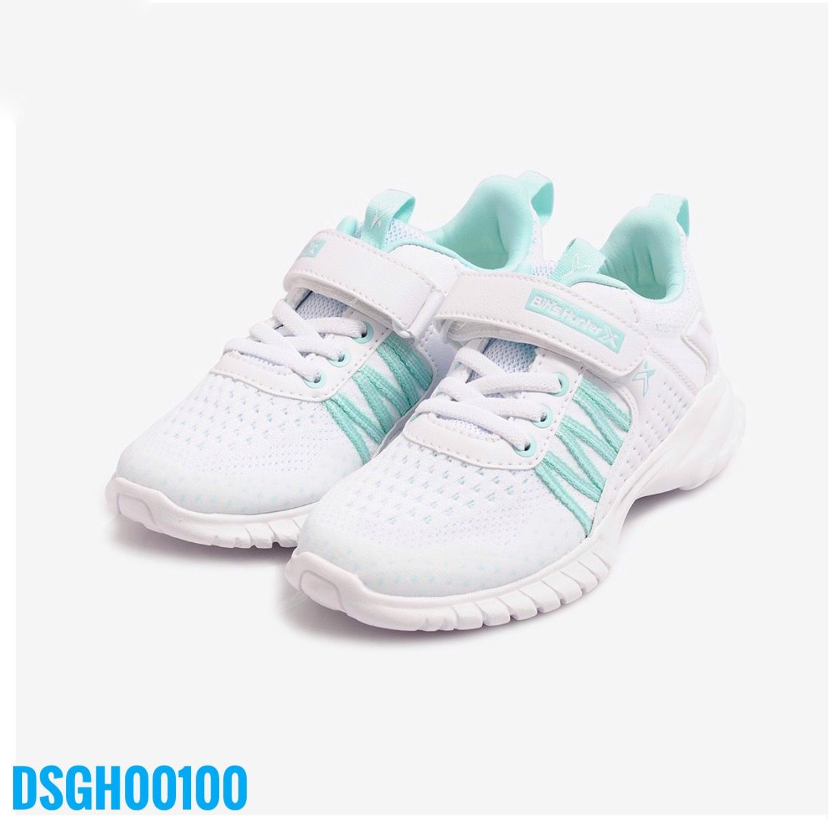 DSGH00100