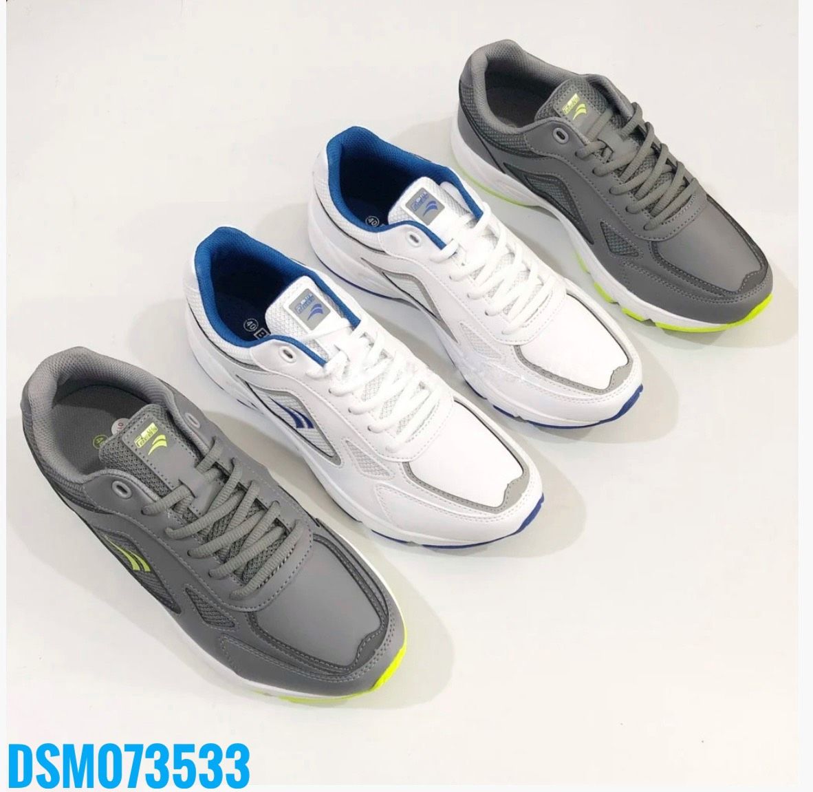 DSM073533