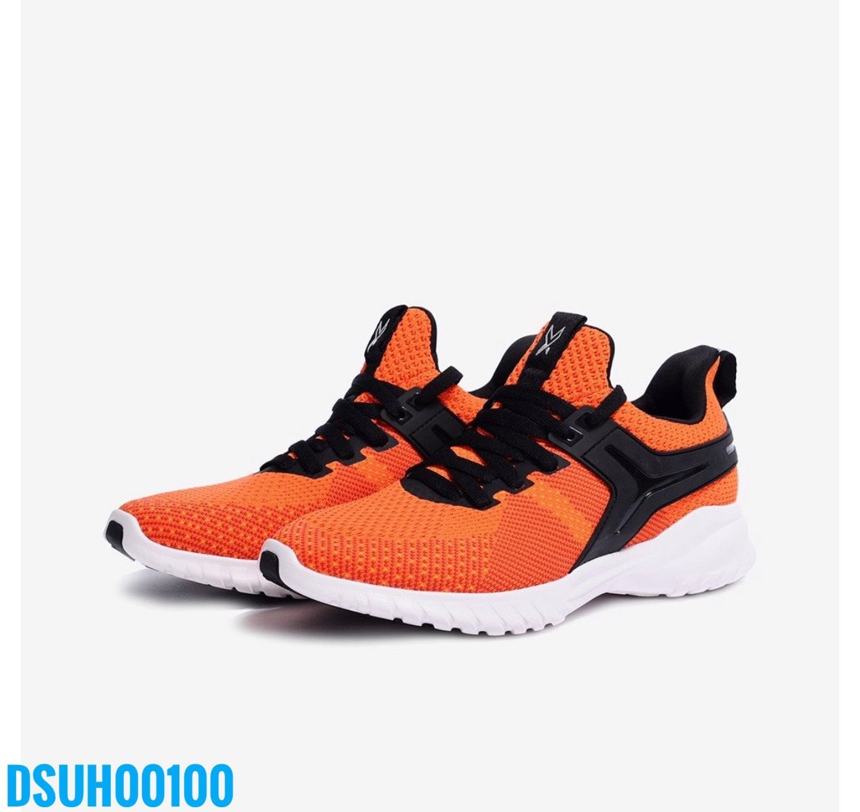 DSUH00100