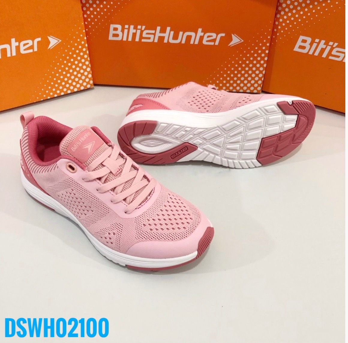 DSWH02100