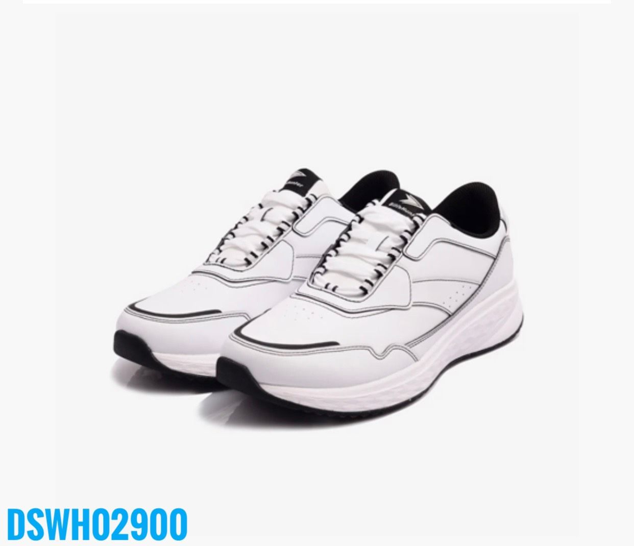DSWH02900