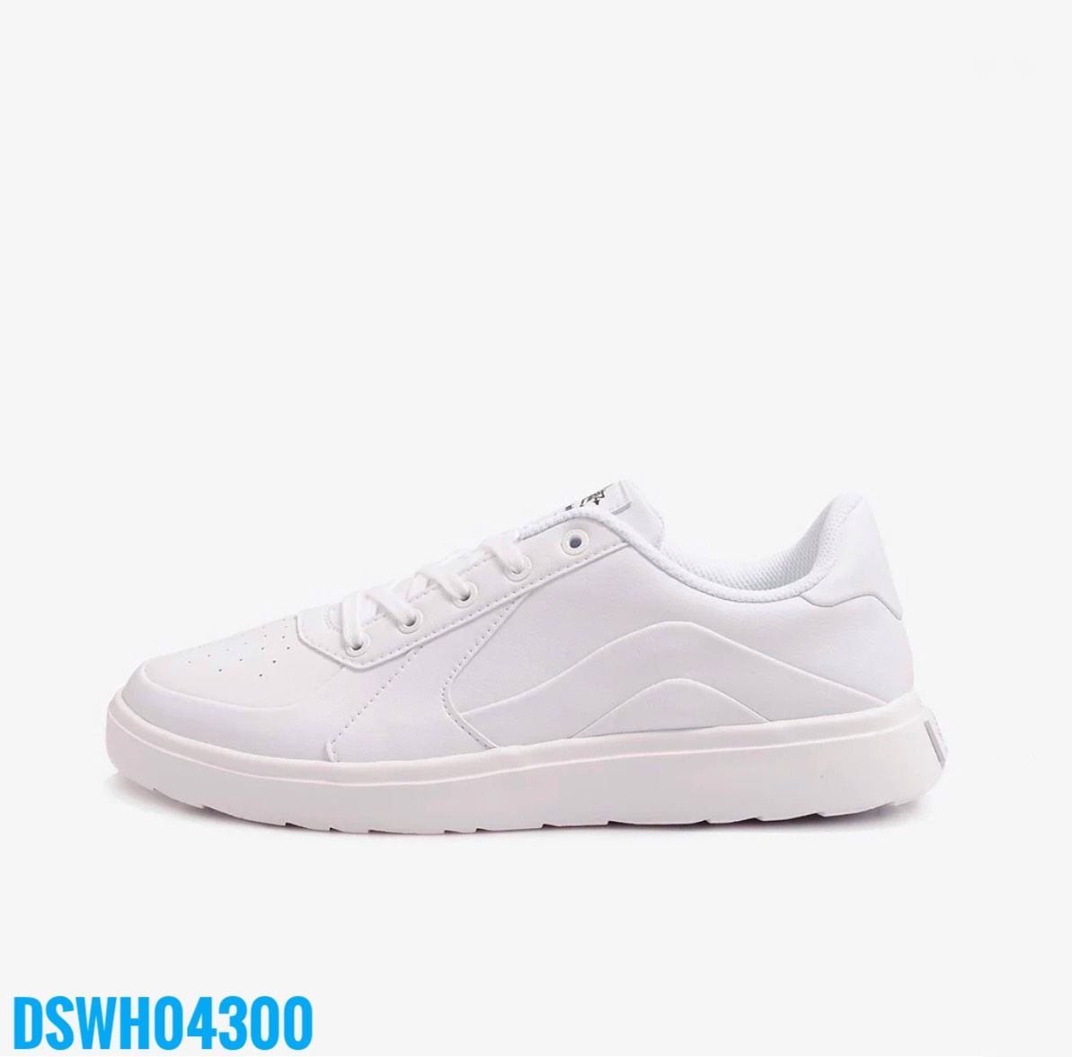 DSWH04300