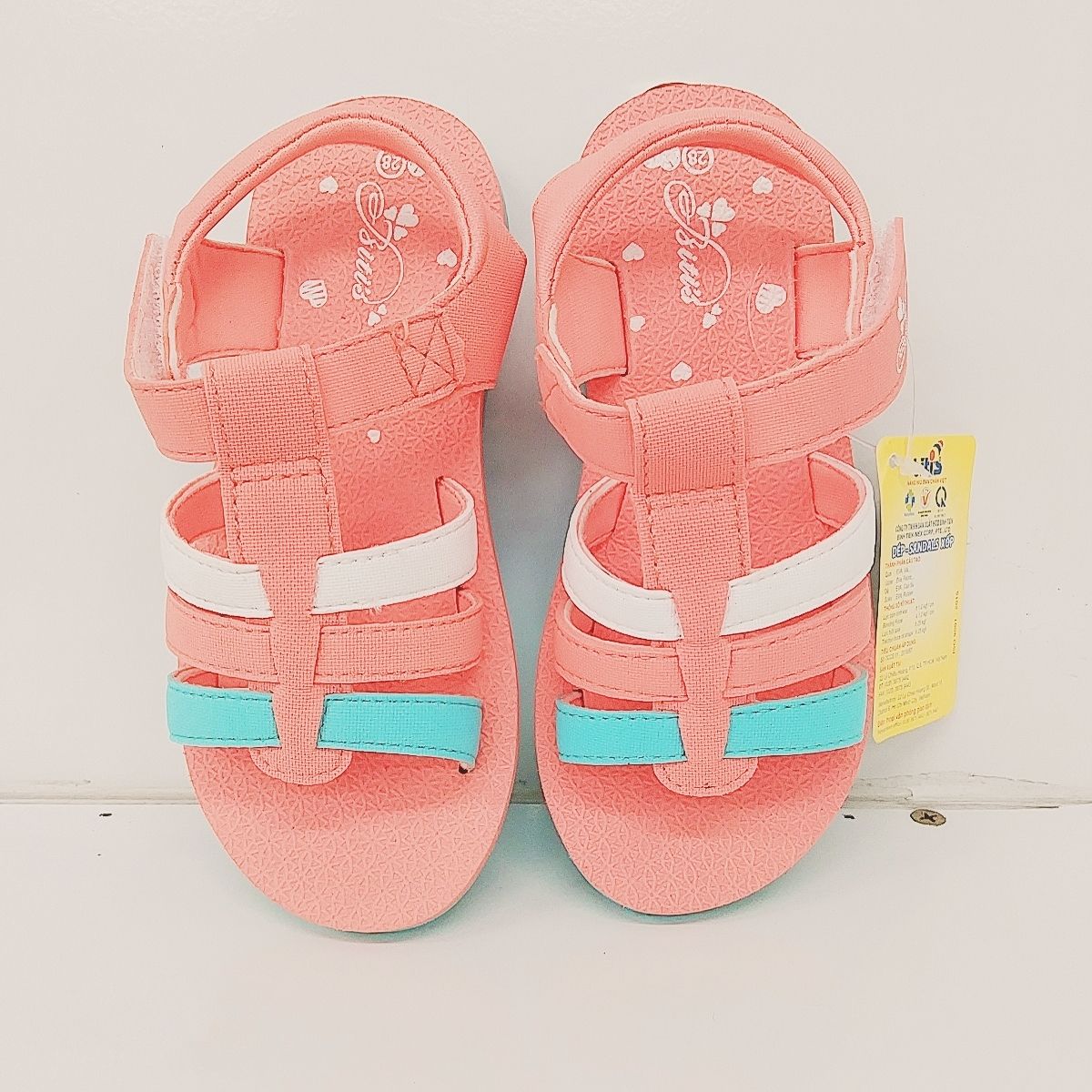 DXG003600