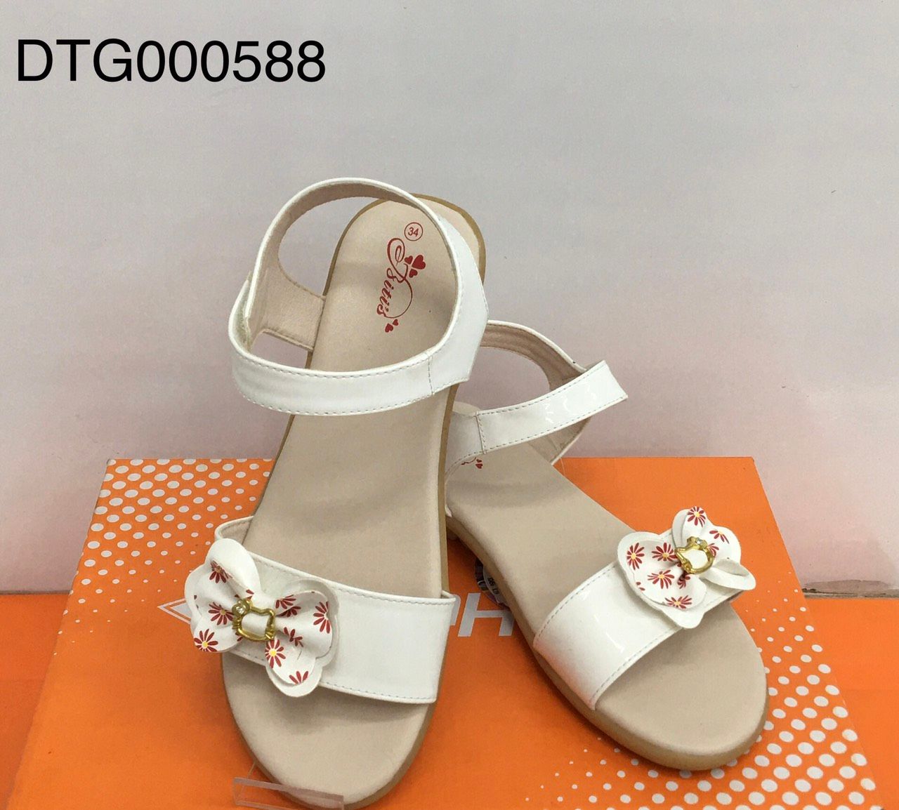 DTG000588