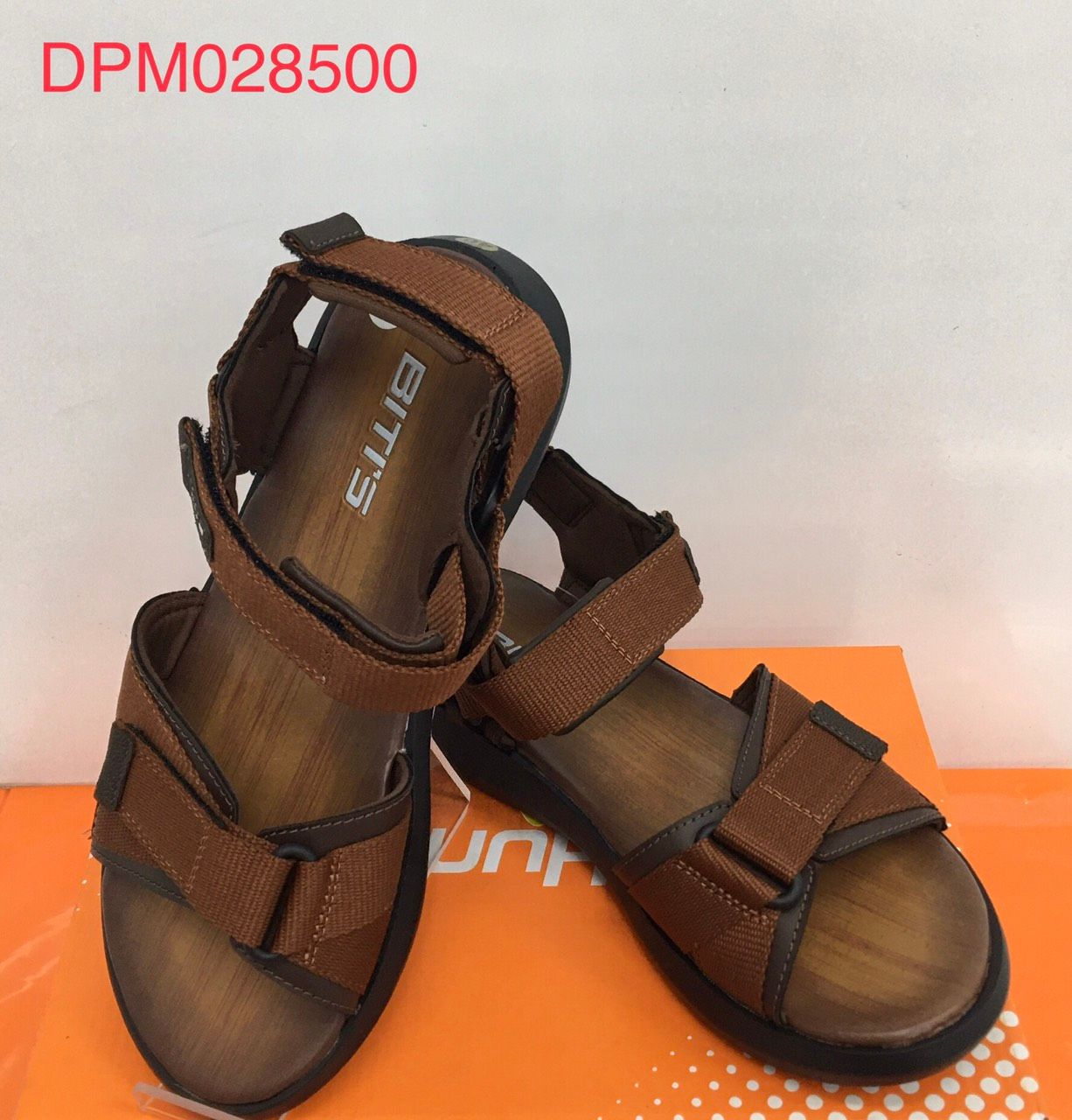 DPM028500