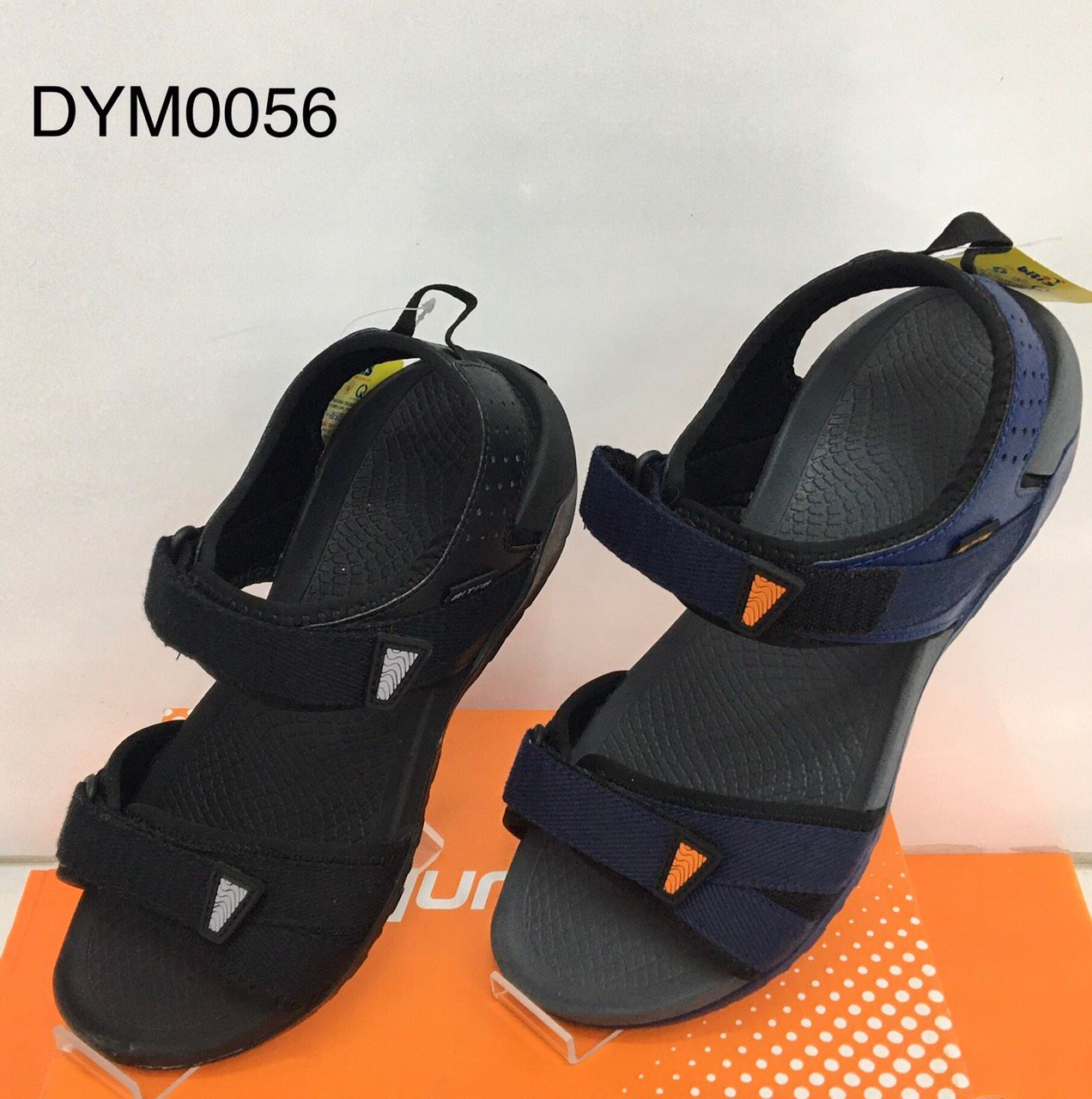 DYM005600