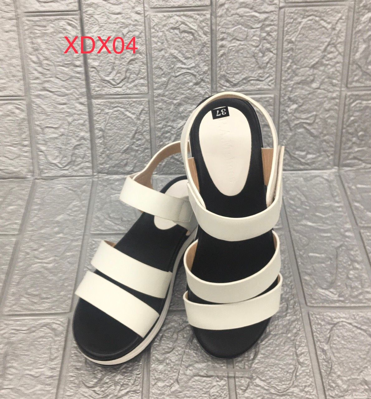 XDX04