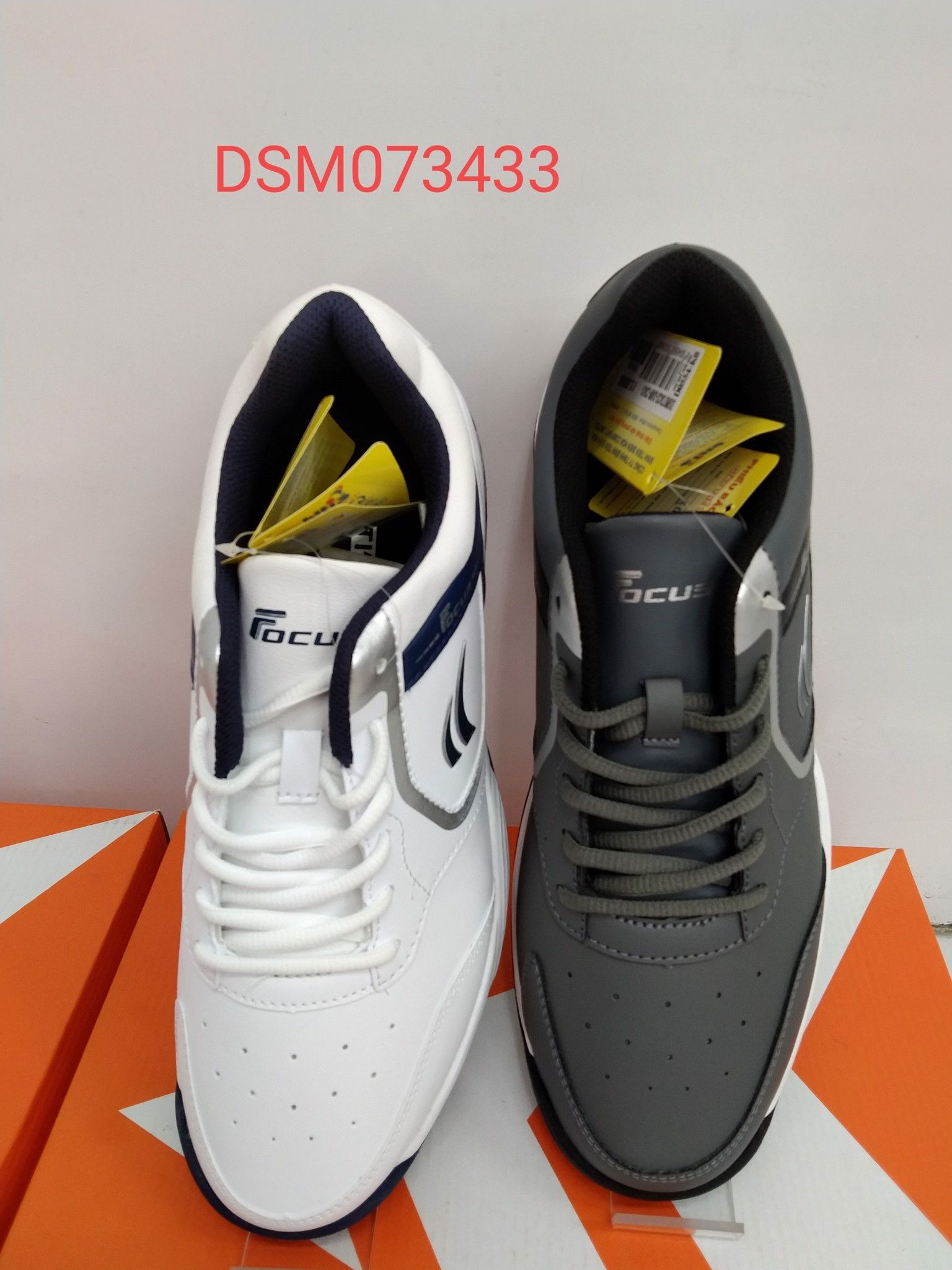 DSM073433