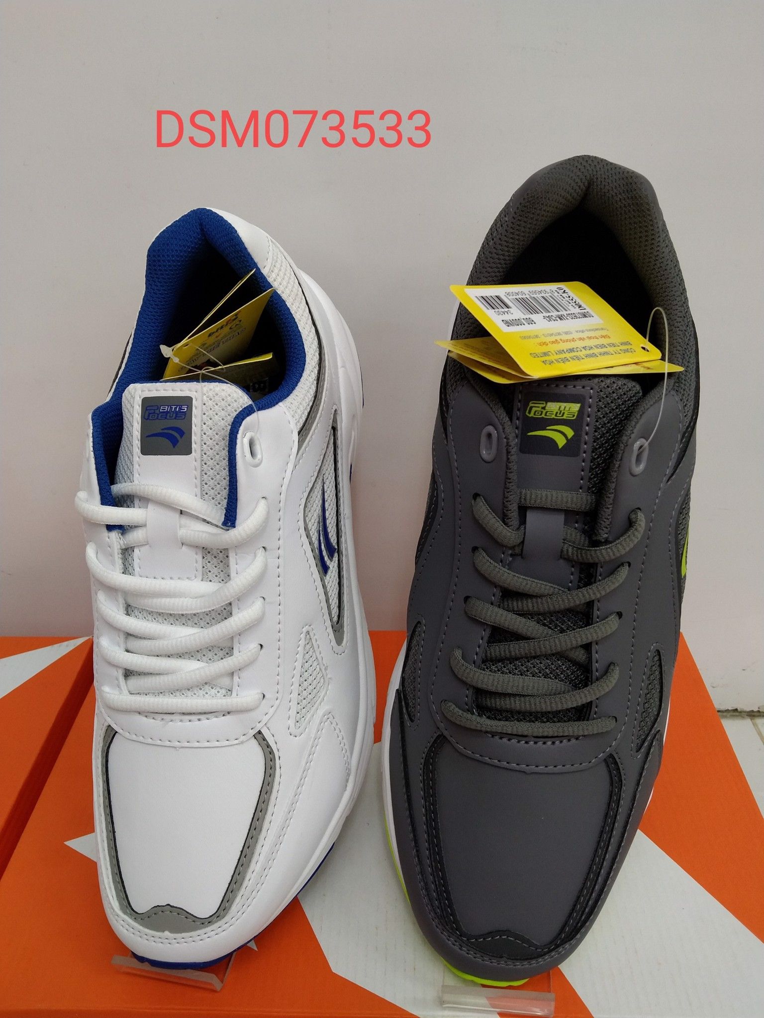 DSM073533
