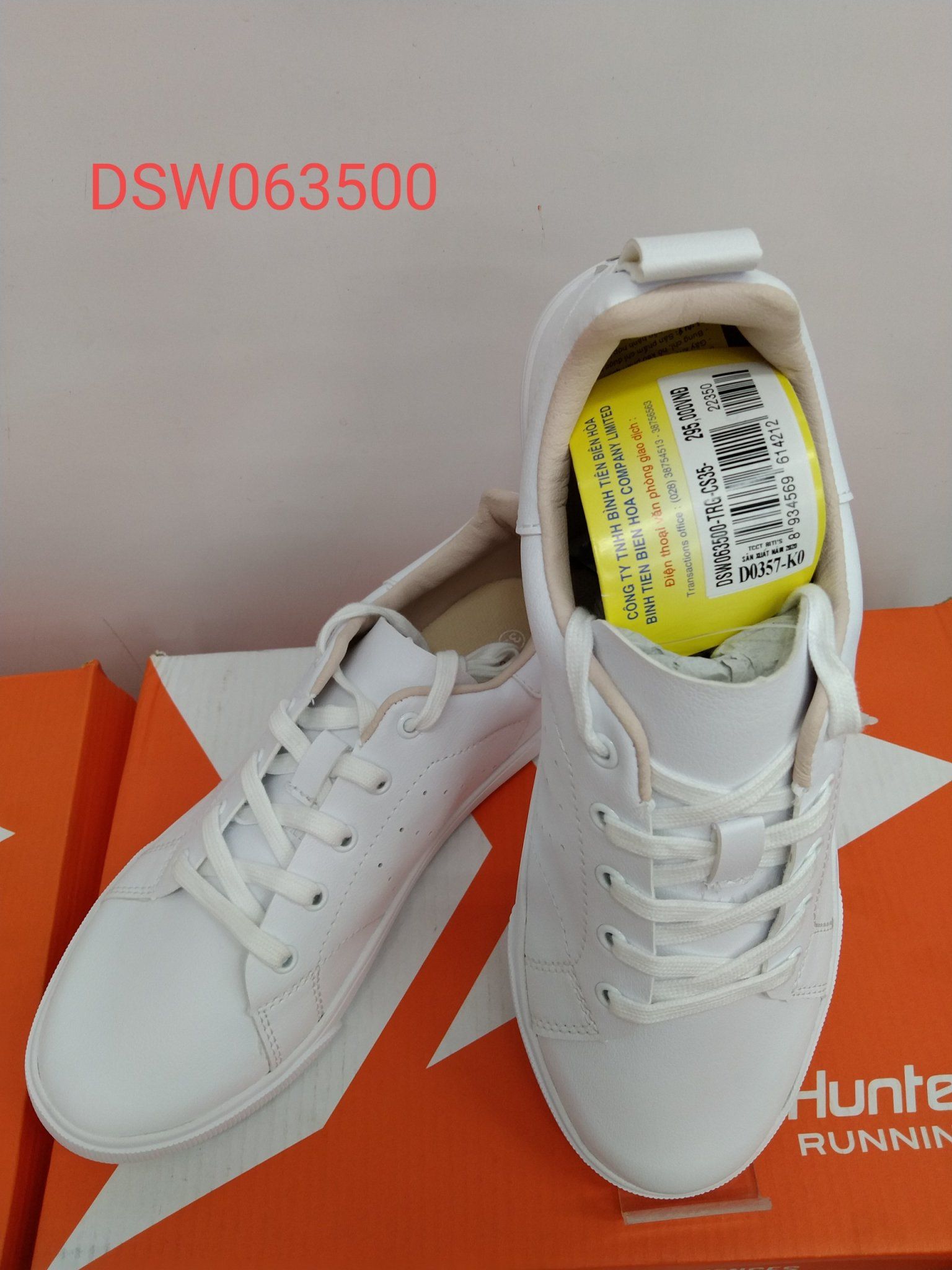 DSW063500