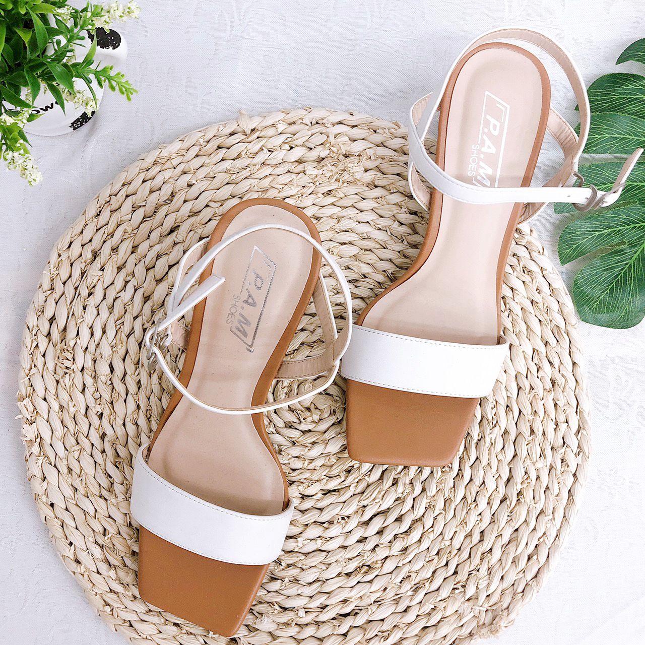 SD 6P Mũi Vuông Phối Màu