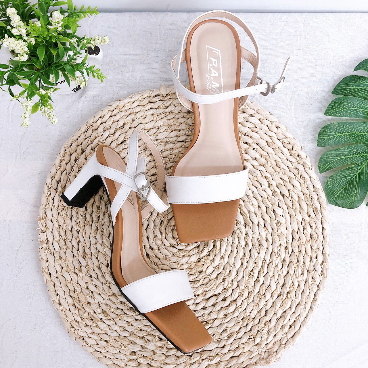 SD 6P Mũi Vuông Phối Màu