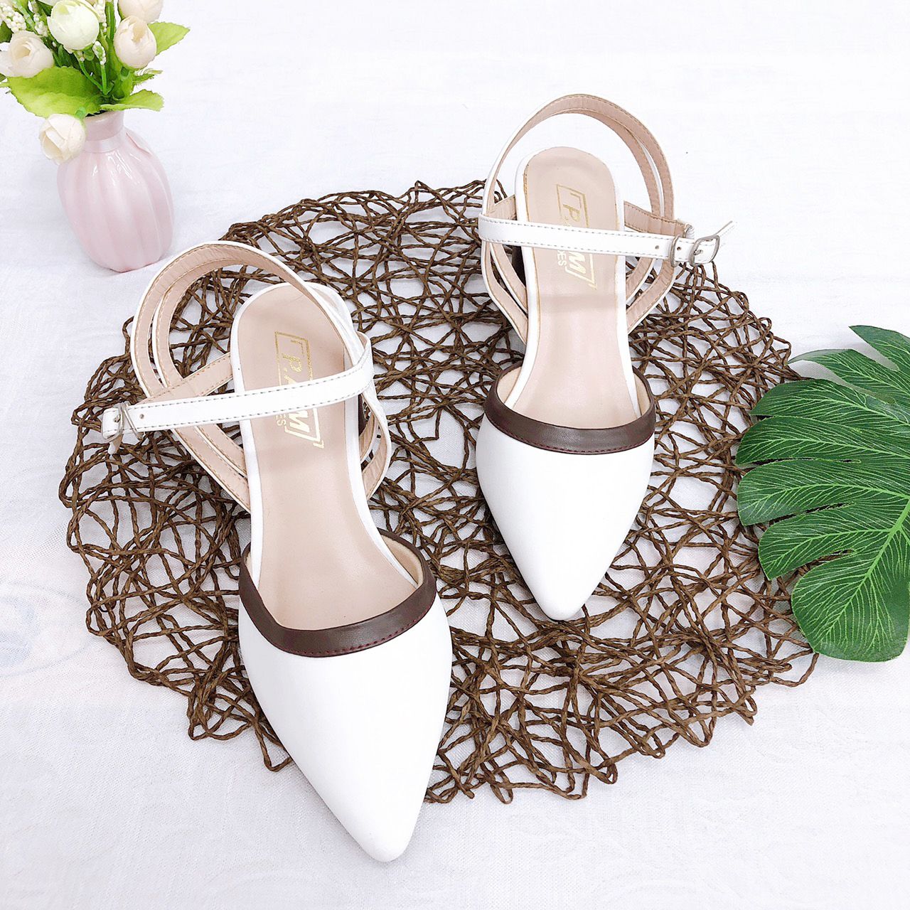 SD 5P Mũi Nhọn Viền Nâu