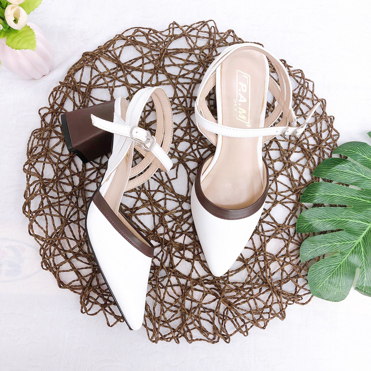 SD 5P Mũi Nhọn Viền Nâu