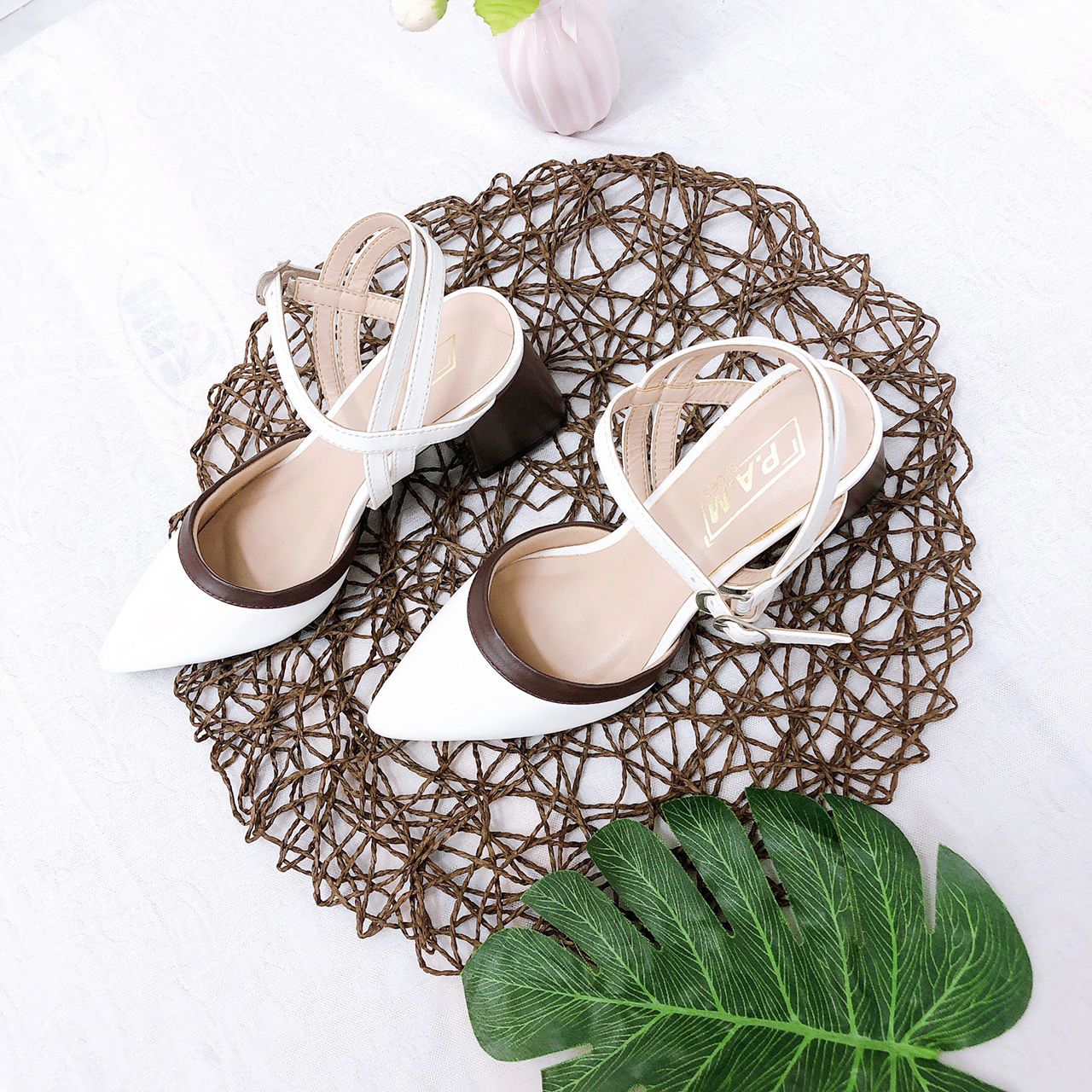 SD 5P Mũi Nhọn Viền Nâu