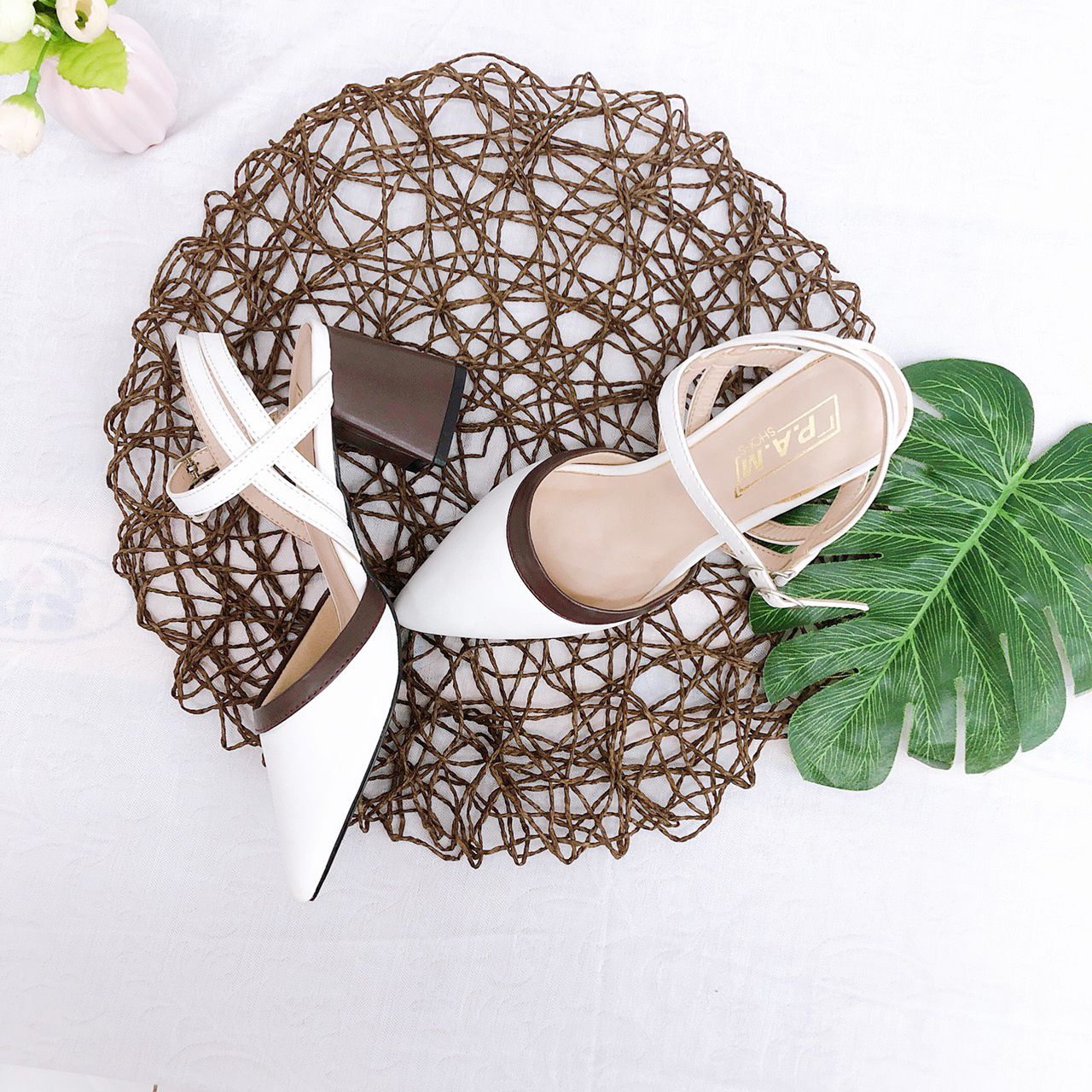 SD 5P Mũi Nhọn Viền Nâu