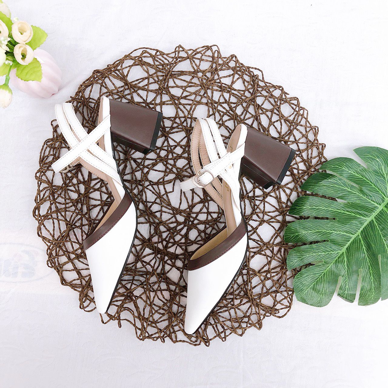 SD 5P Mũi Nhọn Viền Nâu