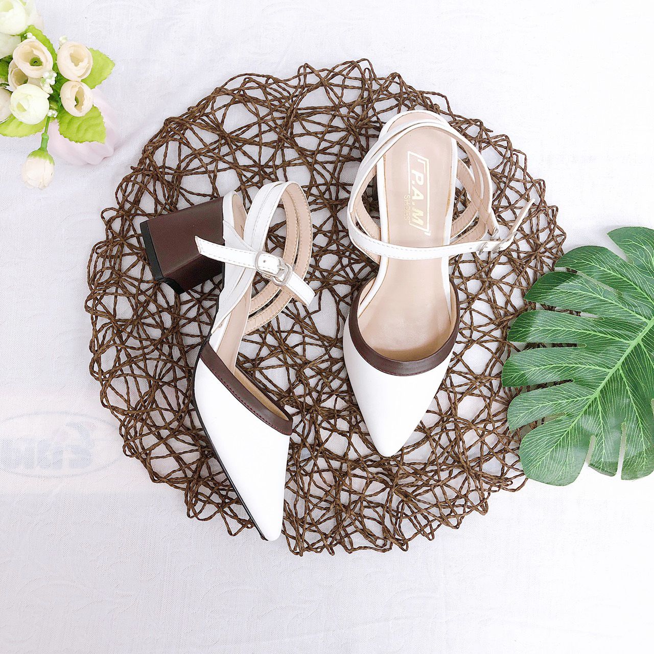SD 5P Mũi Nhọn Viền Nâu
