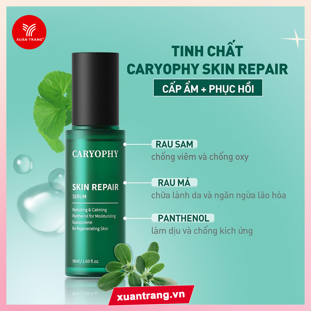 CARYOPHY_Serum Phục Hồi Và Tái Tạo Da Skin Repair 50ml