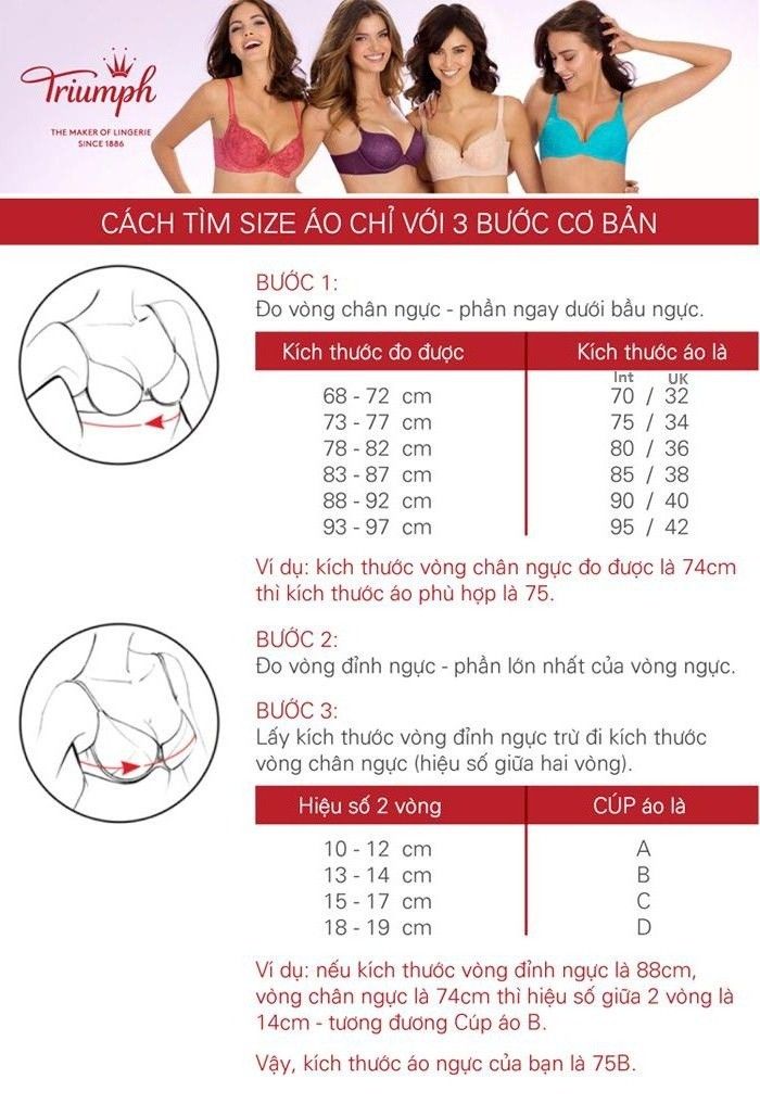 Bộ đồ lót Triumph áo Maxi 736