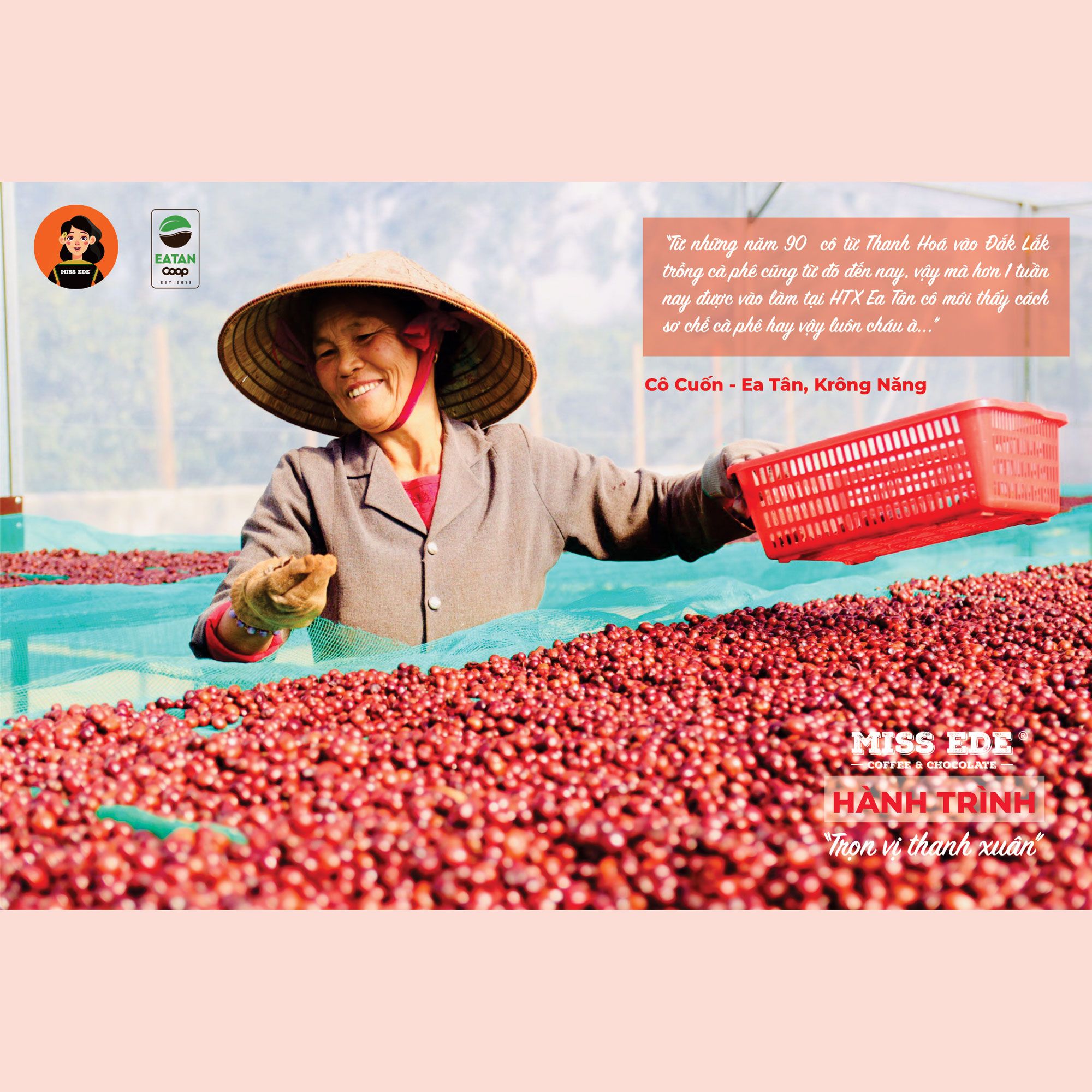 GROUND COFFEE Phin nhẹ 100% Fine Robusta, Medium roasted MISS EDE (Bag 250g)/ Cà phê nguyên chất Phin Nhẹ MISS EDE - Honey Robusta Loại 1 ( Gói 250g) (rang vừa - medium roasdted)