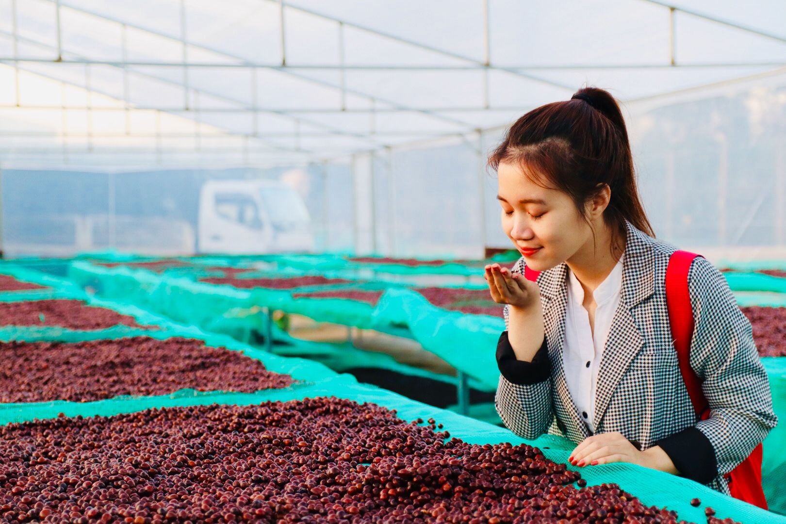 EUDR Vietnam Robusta Ground Coffee Medium Roasted 8.8 Oz (250g) MISS EDE - Bag (Only for Export)