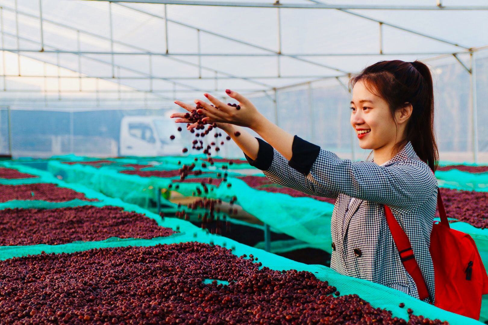 EUDR Vietnam Robusta Ground Coffee Medium Roasted 8.8 Oz (250g) MISS EDE - Bag (Only for Export)