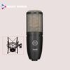 Micro thu âm cao cấp AKG P220 - Microphone condenser studio