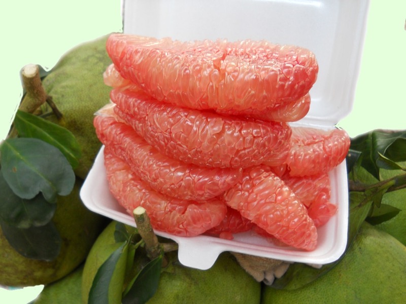 Cây giống bưởi da xanh