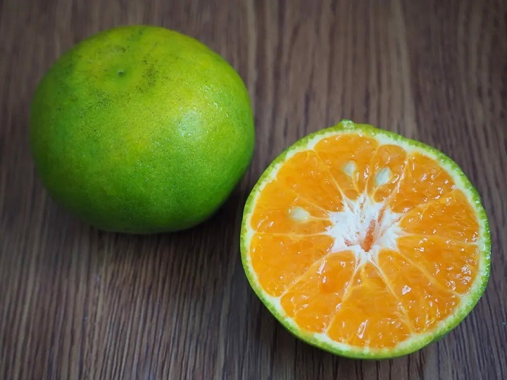 Cây Quýt Đường Lai Vung