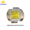 Chip led 50W Epistar