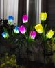 Đèn hoa tulip Năng lượng mặt trời