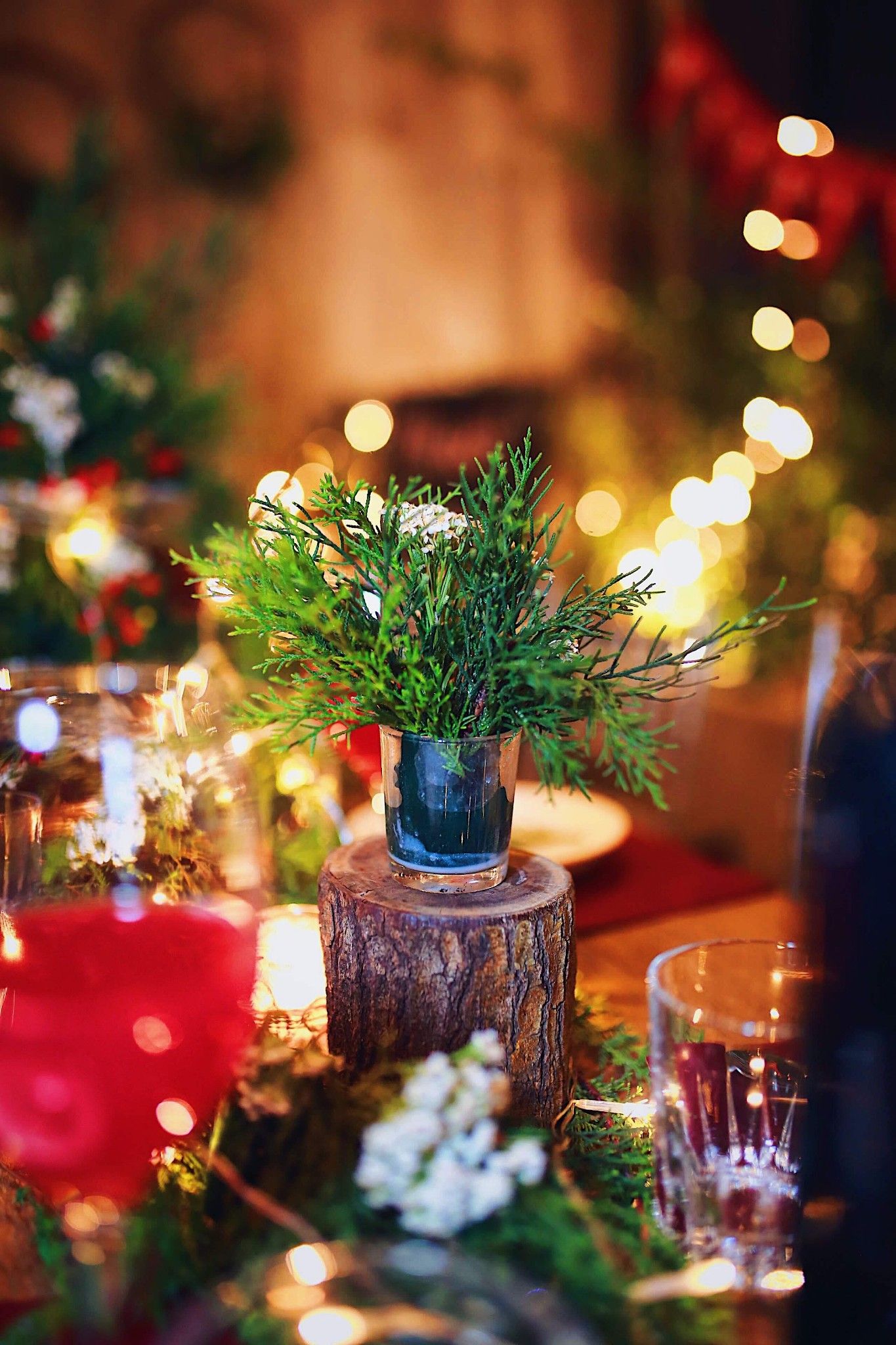 MERRY CHRISTMAS - SKY GARDEN - OZ_LVS