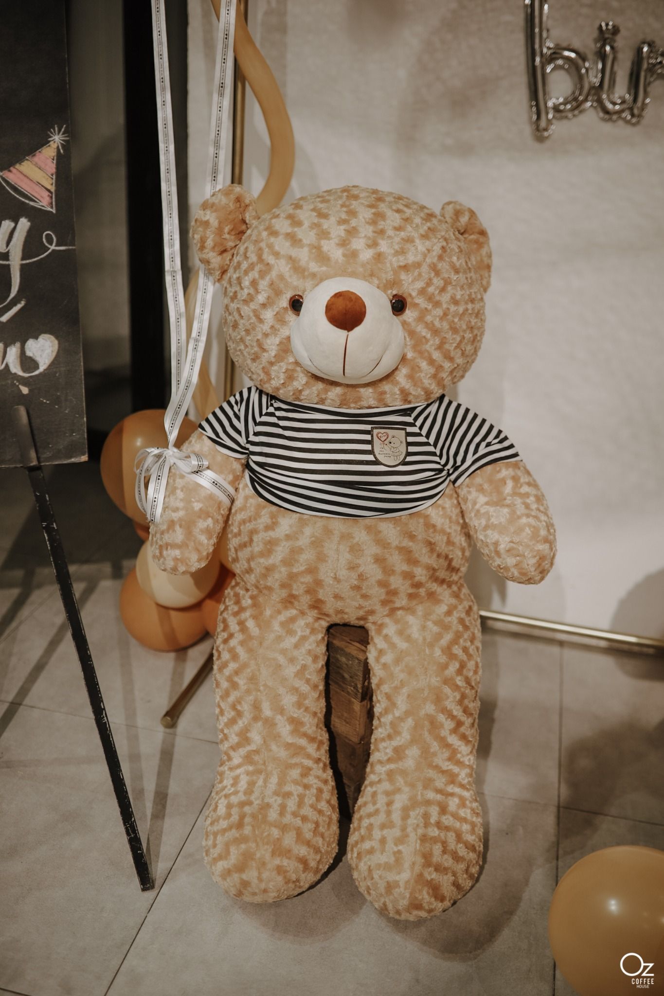 TEDDY CRUSH - PLATINUM - WHITE - OZ_LVS